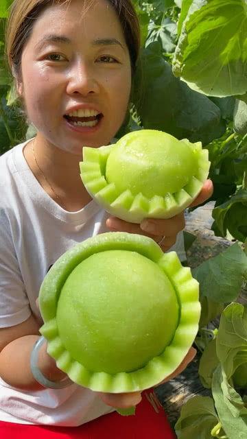 摘香瓜视频,摘香瓜的趣味过程与技巧分享